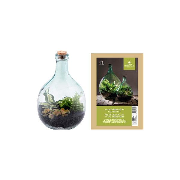 Pflanzen-Terrarium Flasche Größe S