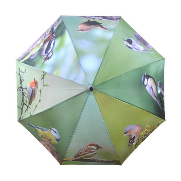 Regenschirm Birds