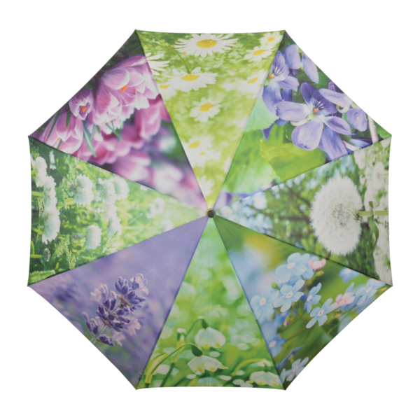 Regenschirm Flowers