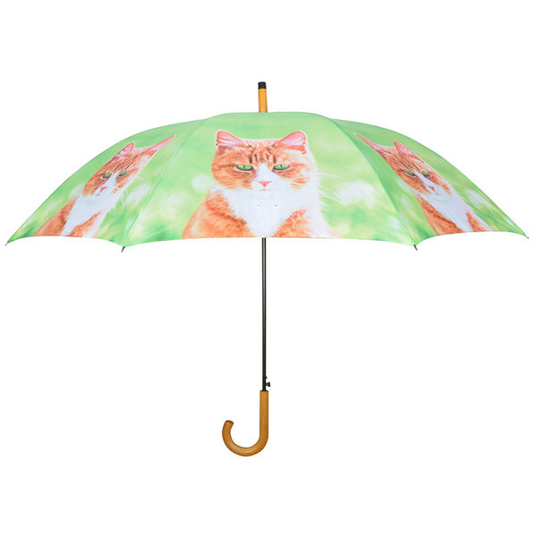 Regenschirm rote Katze