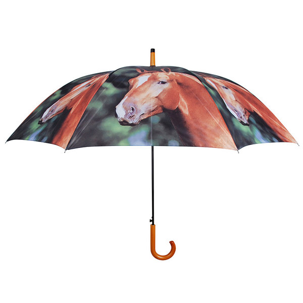Regenschirm Pferd